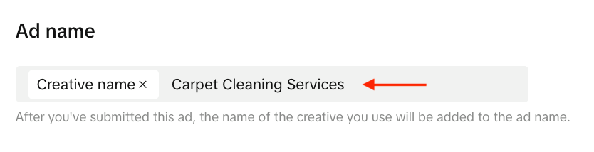 creating name for tiktok ppc campaign for carpet cleaning business