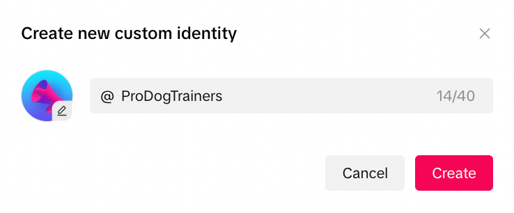 enter custom identity name for dog training business campaign on tiktok