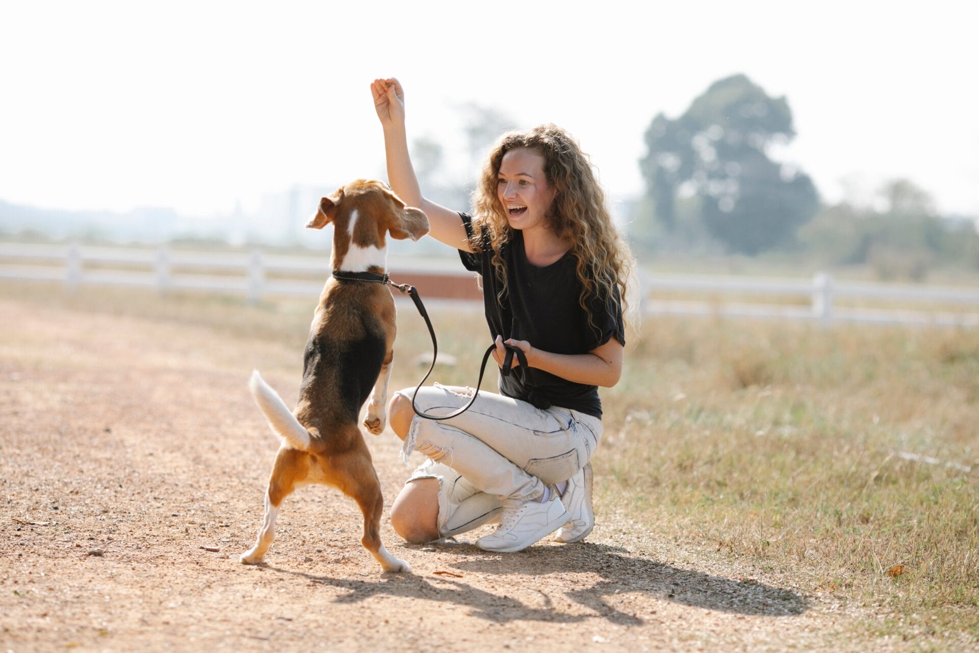 female dog trainer during focus training