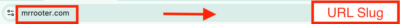 plumber seo url slug