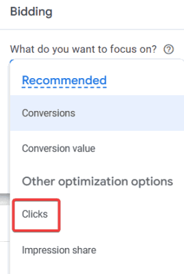 Google Ads Bidding Options 