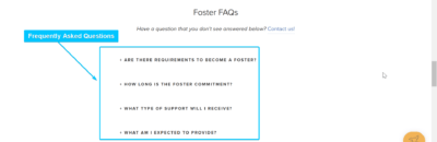 Frequently Asked Questions Landing Page Example For Google Ads for Animal Rescue Services