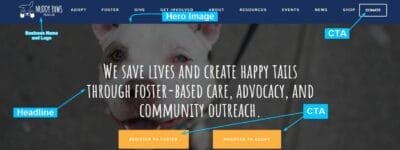 Headline, Hero Image, CTA Landing Page Example For Google Ads for Animal Rescue Services