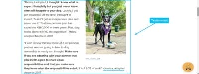 Testimonial Landing Page Example For Google Ads for Animal Rescue Services