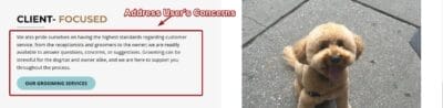 Address User's Concern Landing Page Sample for Pet Groomers