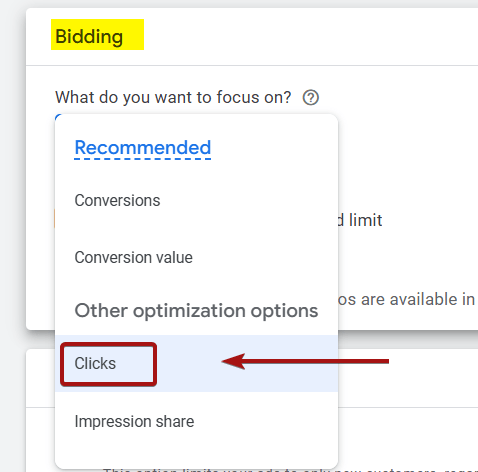 Bidding Strategy for New Google Ads Users