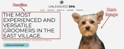 Headline and Hero Image Landing Page Sample for Pet Groomers