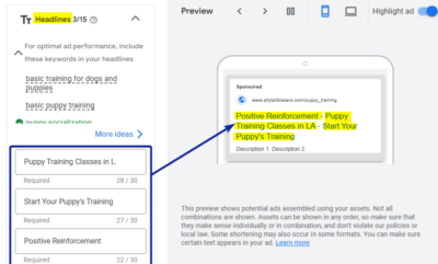 Headlines Ad Copy Sample for Puppy Training Ad Group