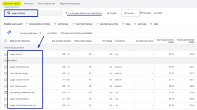 Keyword Planner Search Result