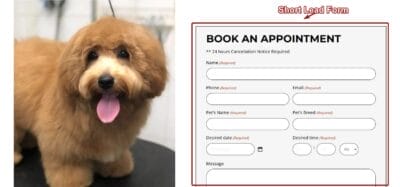 Short Lead Form Landing Page Sample for Pet Groomers