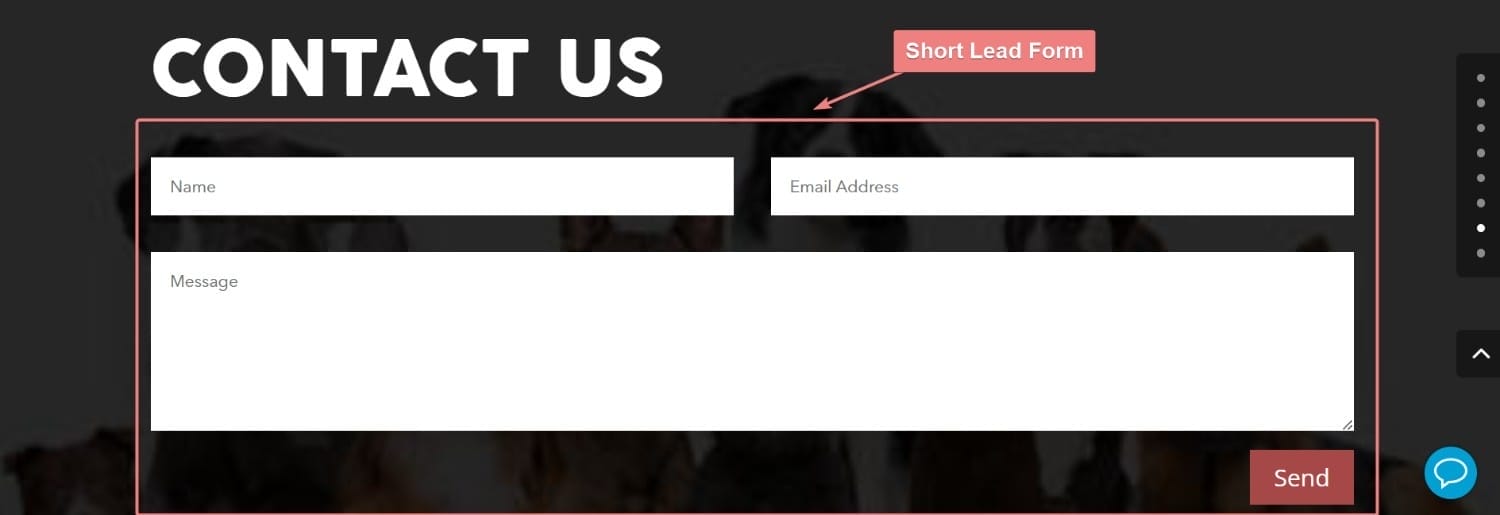 Short Lead Form Landing Page Sample for Pet Boarding