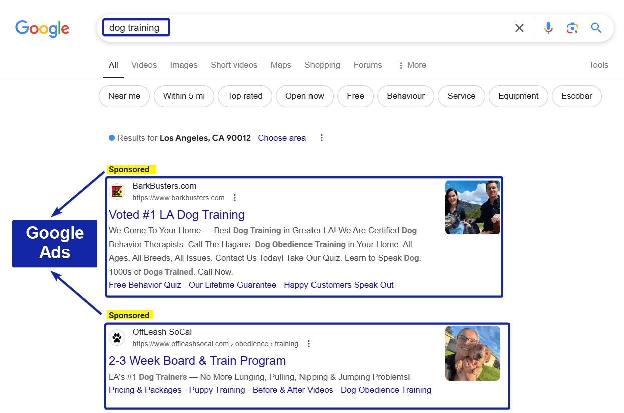 Google Ads Search Results on Dog Training