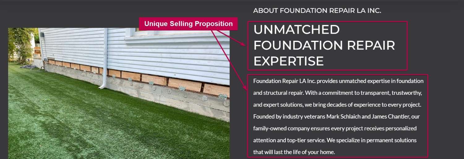 Unique Selling Proposition Landing Page Sample