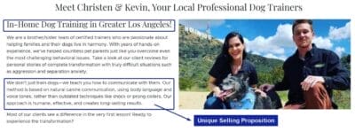 Unique Selling Proposition Landing Page Sample for Google Ads for Pet Sitters / Dog Sitters / Dog Training