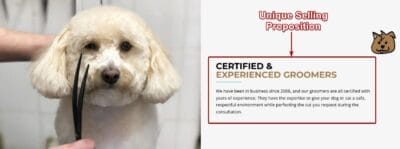 Unique Selling Proposition Landing Page Sample for Pet Groomers