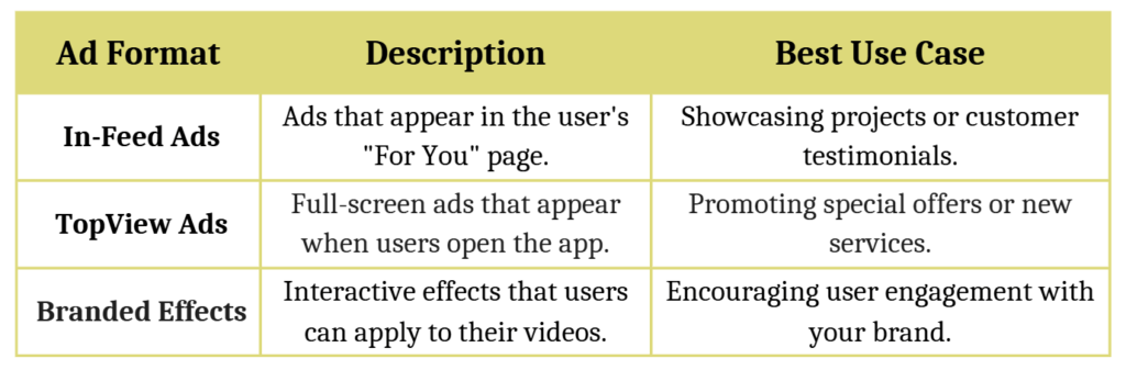 TikTok Ad Format
