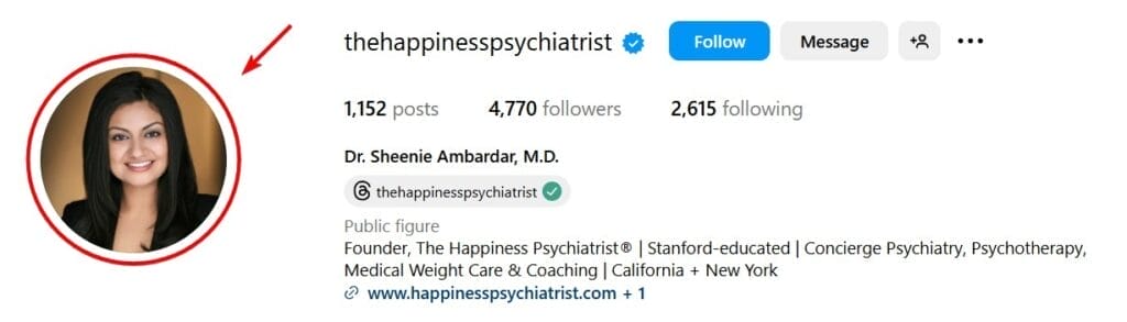 Instagram Account Professional Headshot Sample