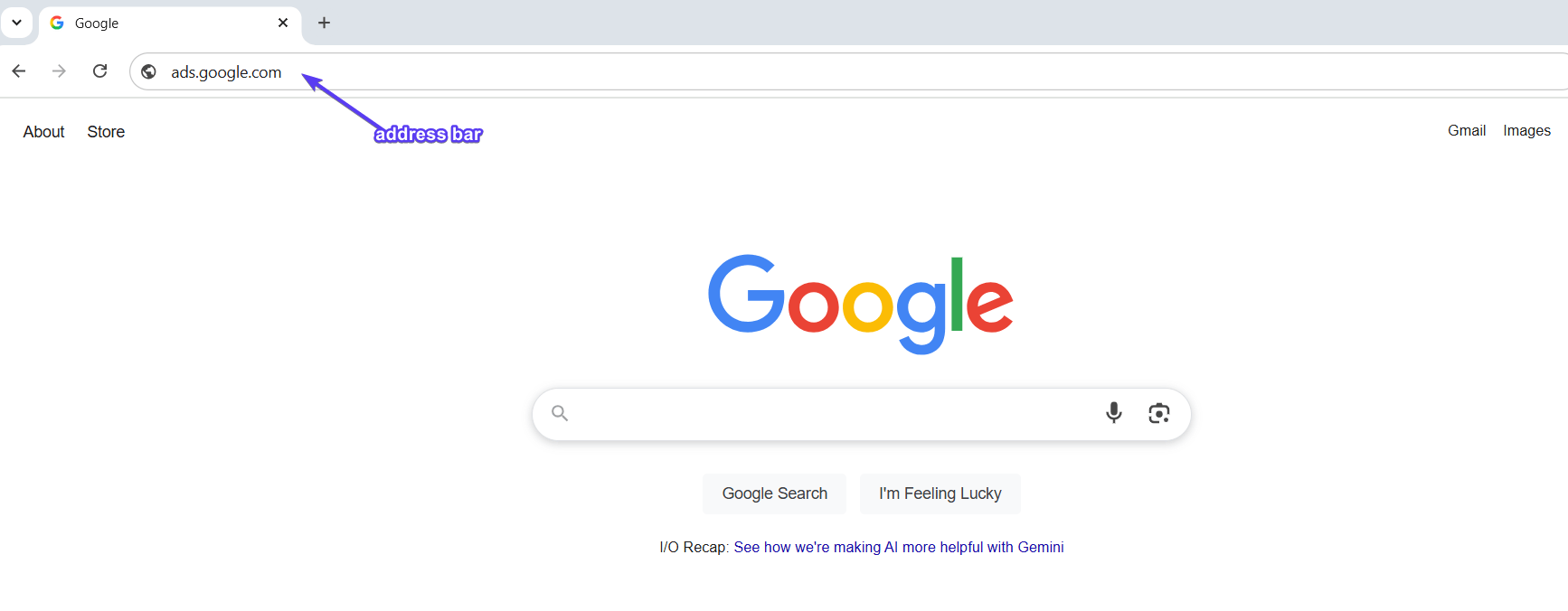 Google Address Bar