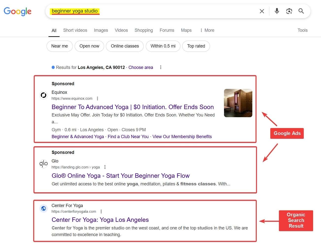 Google Ads and Organic Search Results