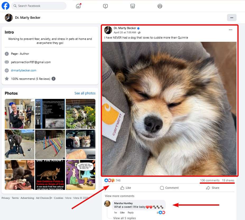 Facebook Vet Sample Post