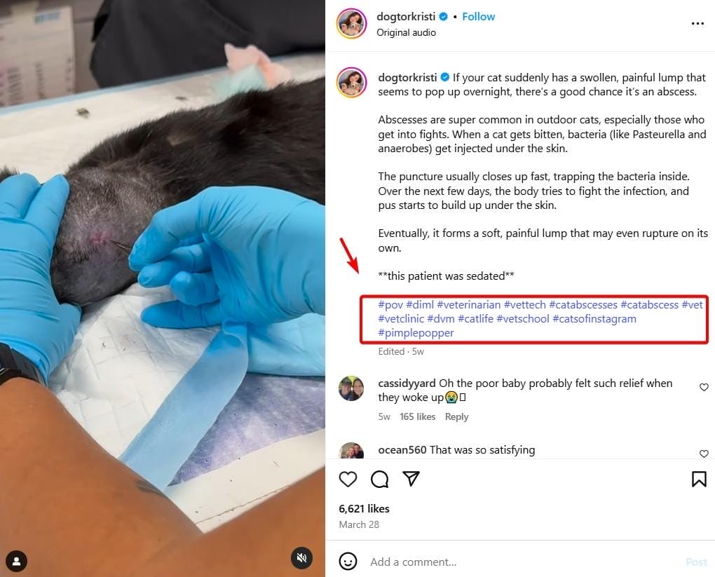 Instagram Post Hashtags