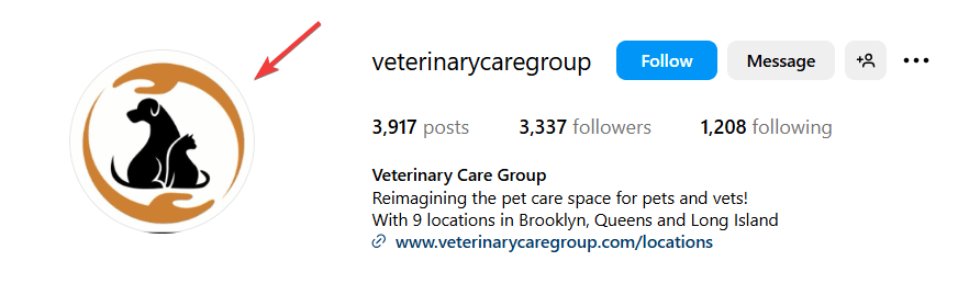 Instagram Profile Logo