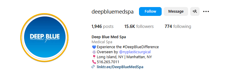 Instagram Profile