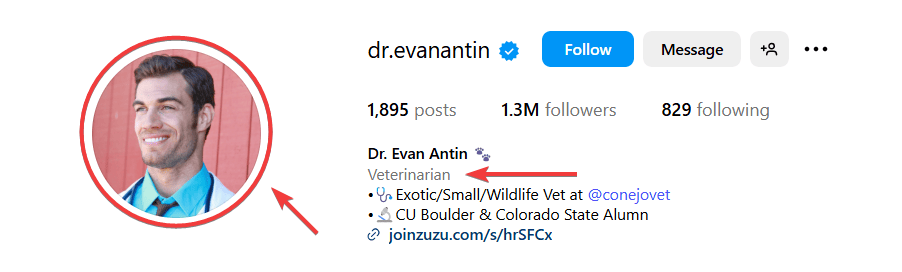 Instagram Veterinarian Profile
