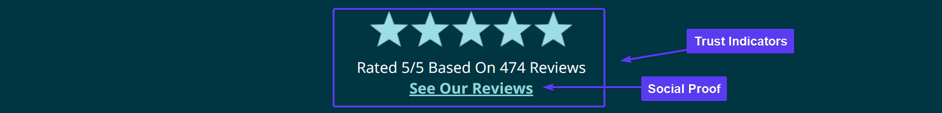 Landing Page Social Proof, Trust Indicators Sample