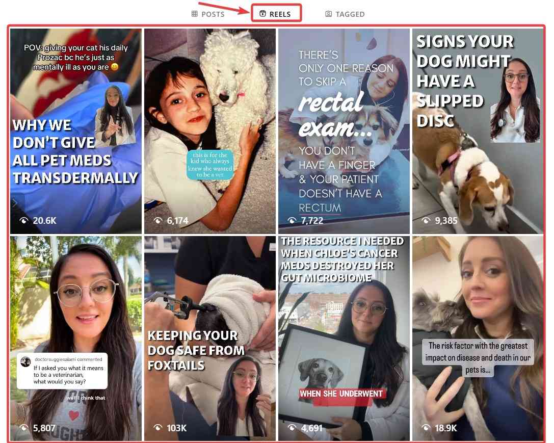 Instagram Reels