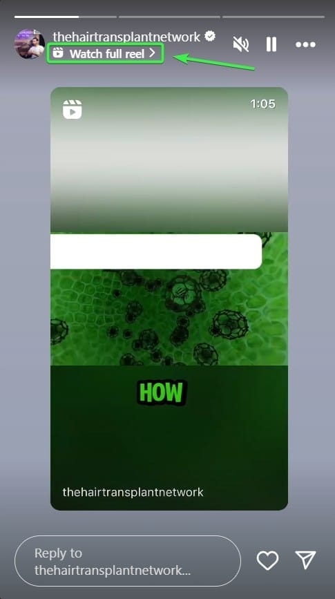Instagram Reels on Stories