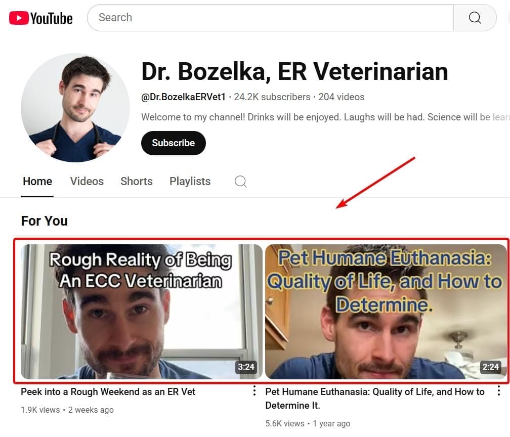 YouTube Vet Channel Sample