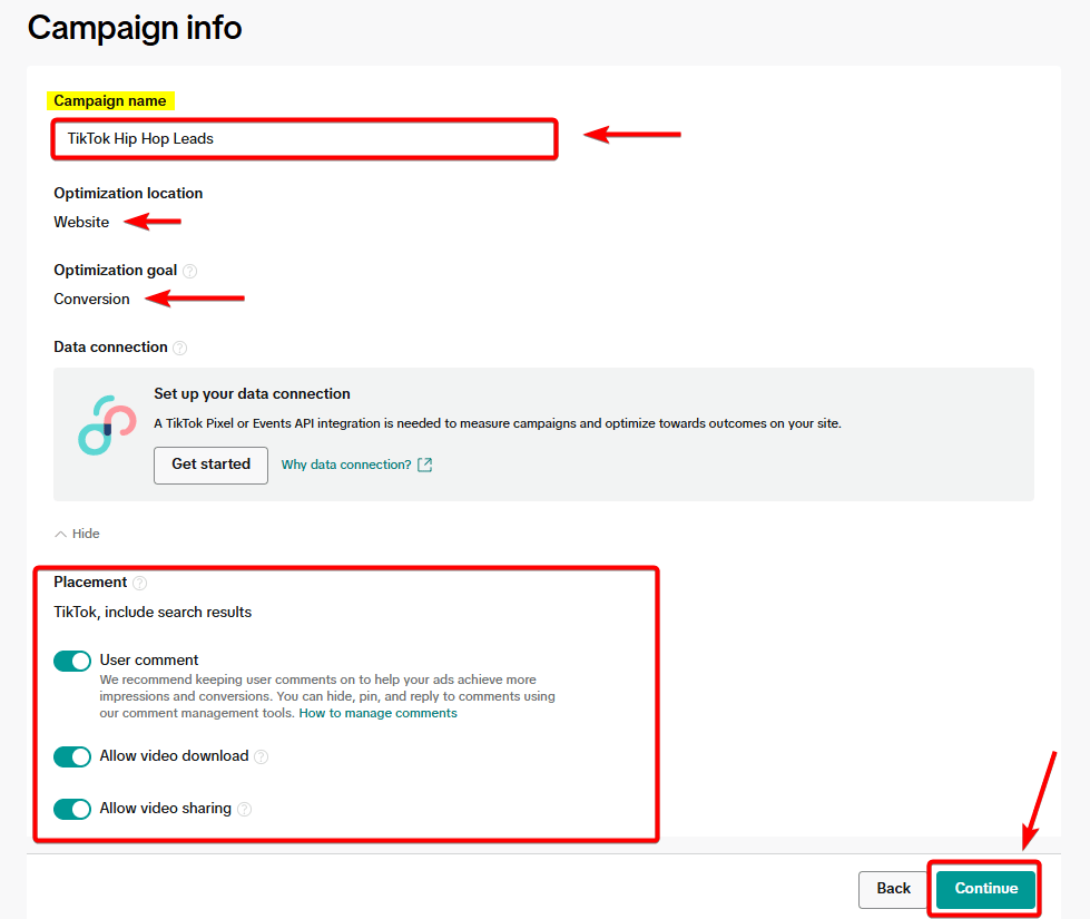 TikTok Ads Campaign Info