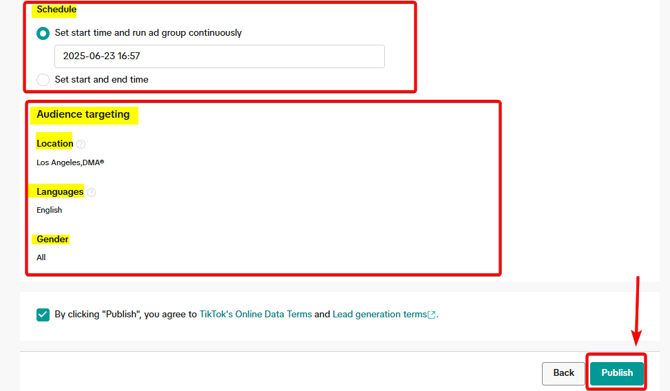 Publish TikTok Ad Campaign