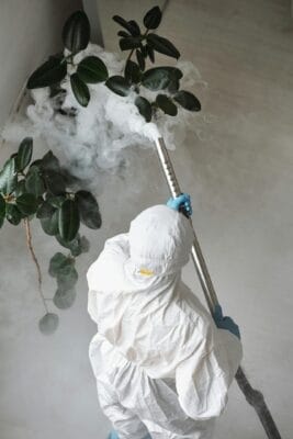 Google Ads For Pest Control Featured Image