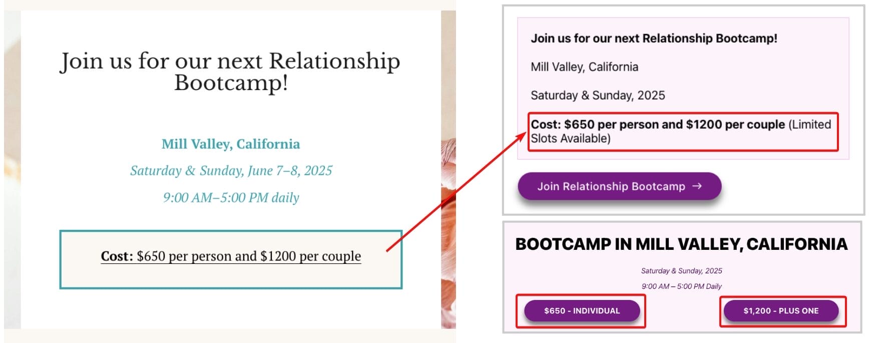 Landing Page Bootcamp Price Updated