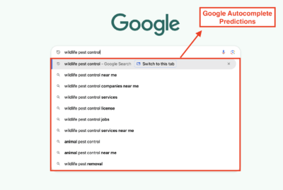 Google Autocomplete Predictions