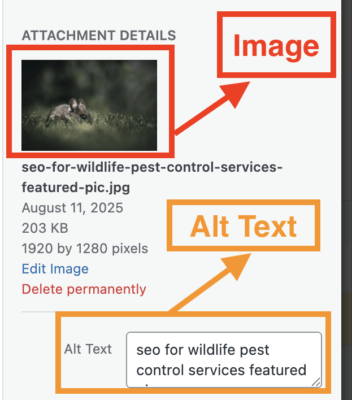 alt text