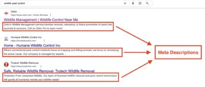 meta descriptions