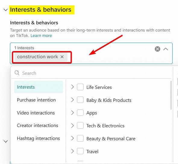 Interests and Behaviours