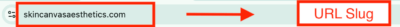 seo med spa url slug