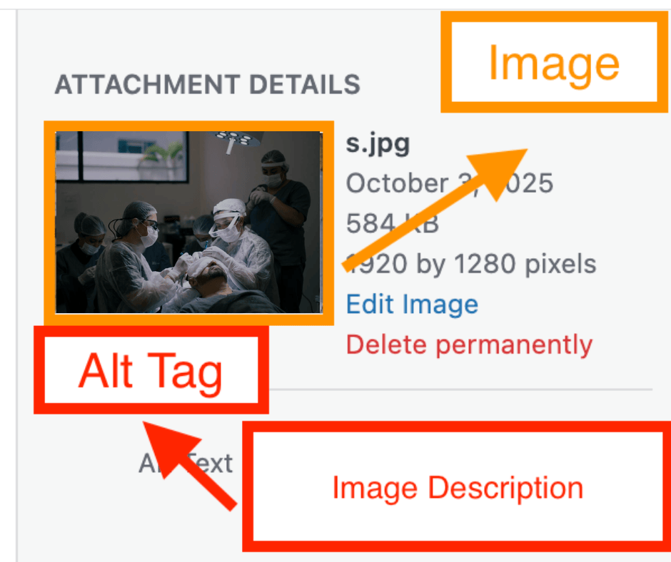 alt tags
