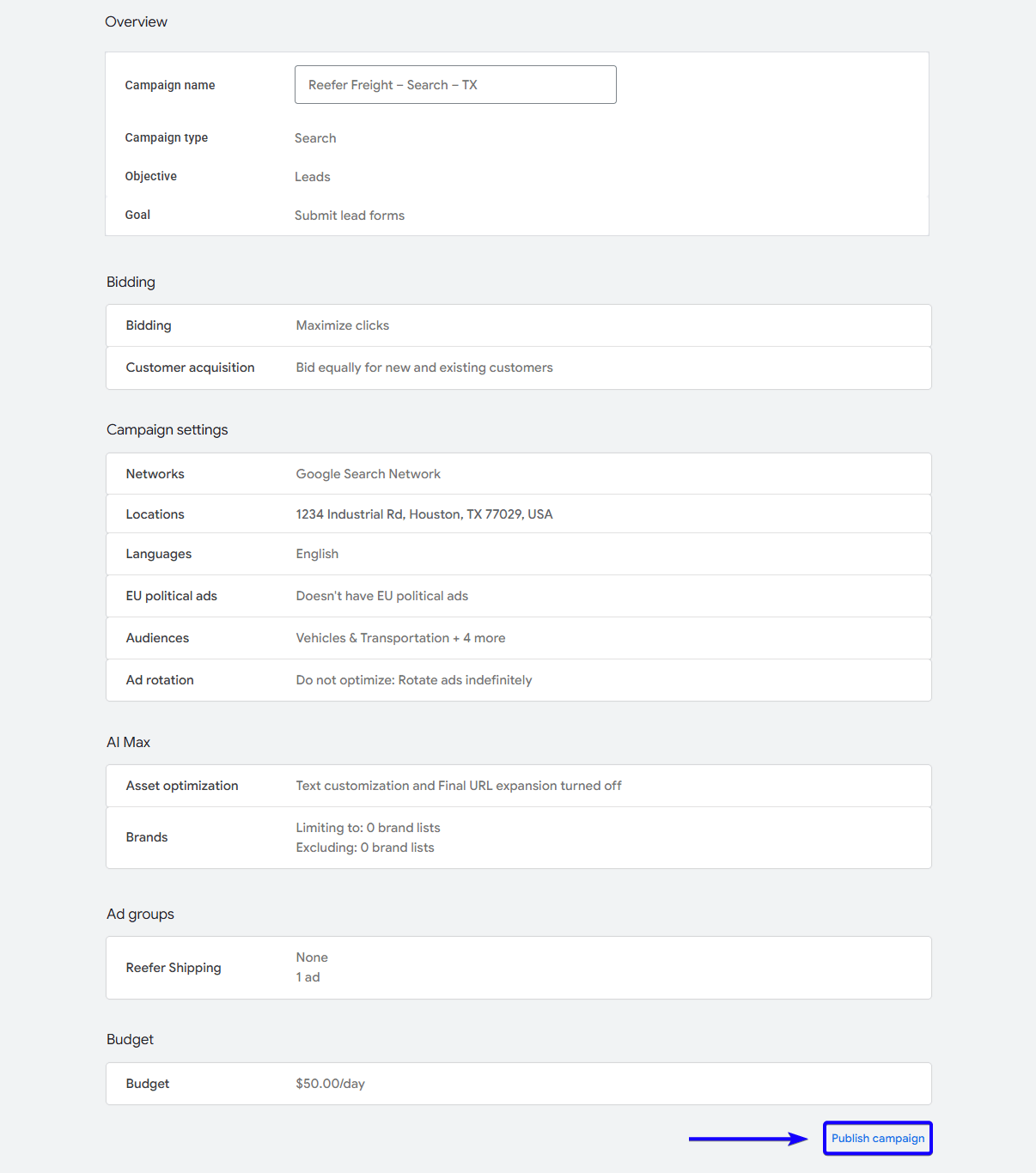 Reviewing settings before publishing Google Ads